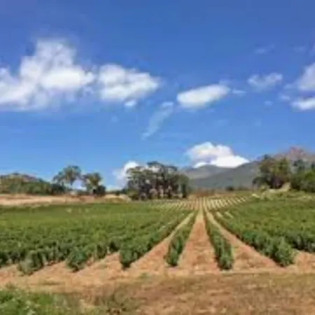 Сasa de vacaciones Casalea