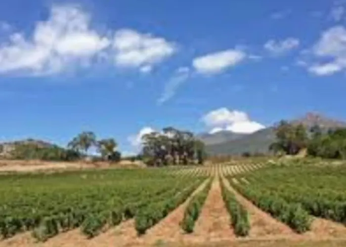 Prázdninový dům Casalea